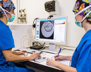 embryoscope-reproduccion-bilbao