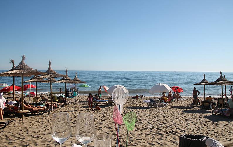 h.10299257.795.500.0.ffffff.03995836-min