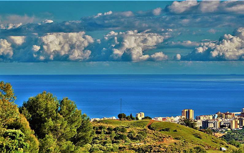 h.22378083.795.500.0.ffffff.9f3bd305-min