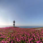 Faro Isla Pancha