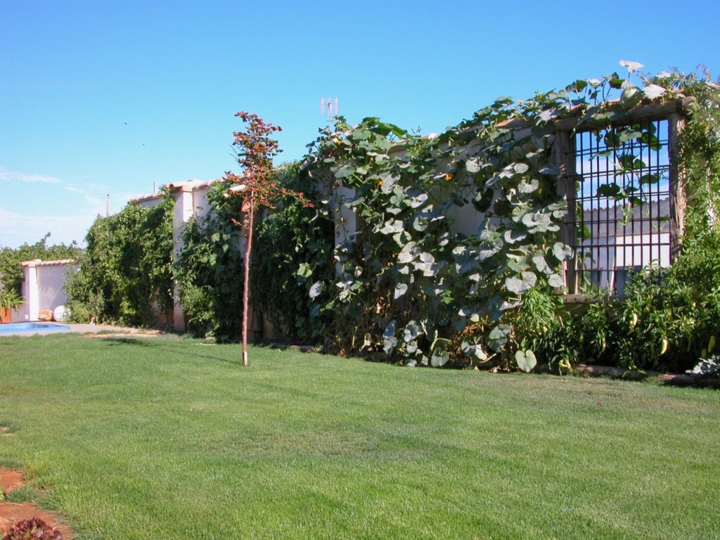 jardin-pared