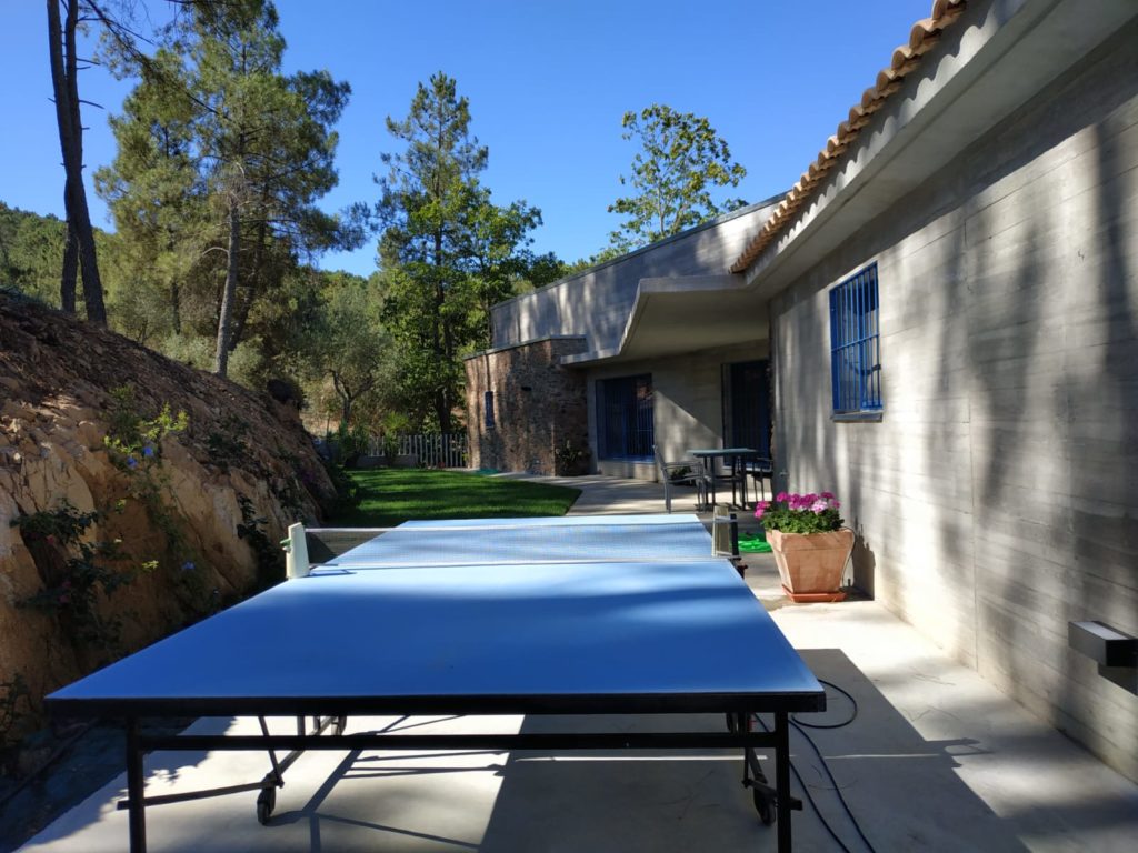 mesa-ping-pong