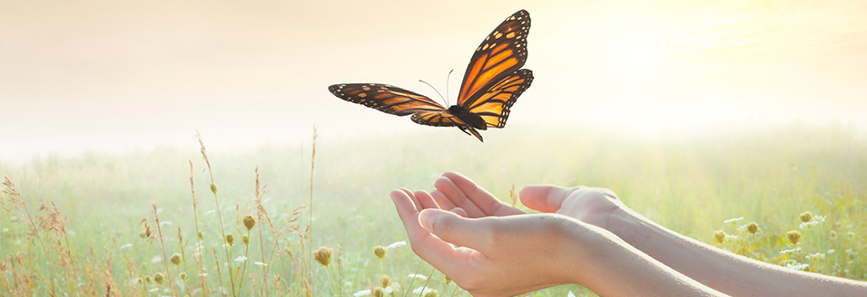 María Del Mar Coach en Sevilla