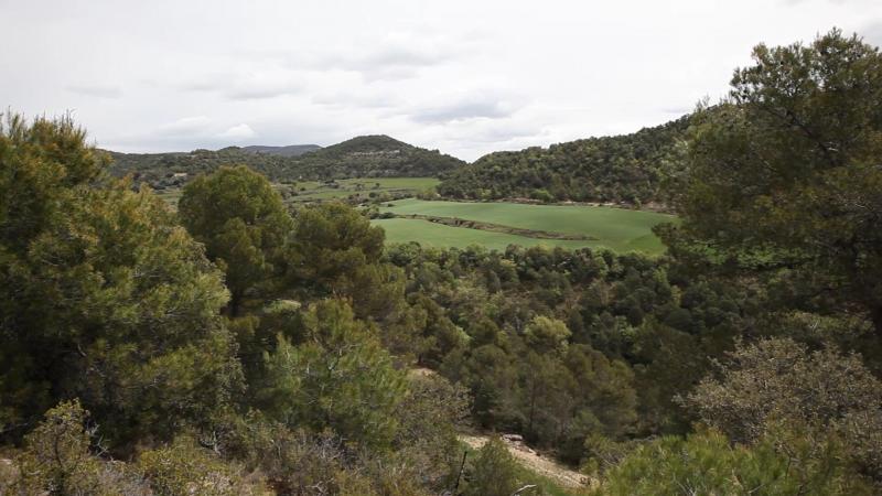 Casa Rural Sarrau