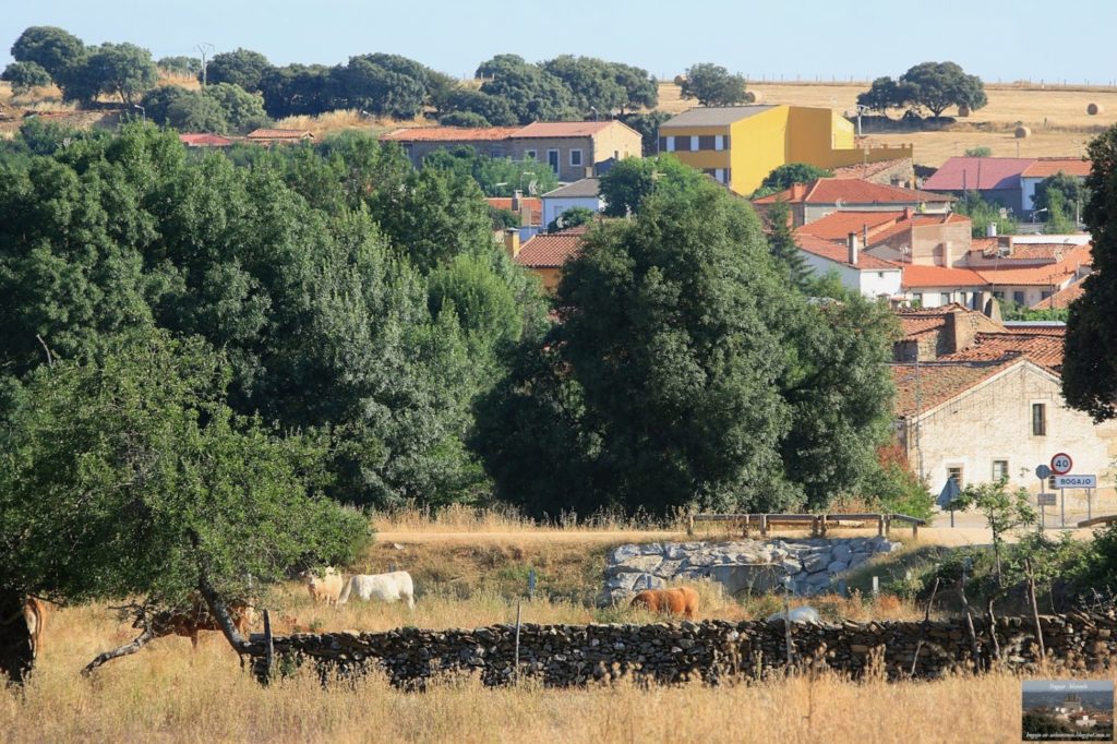 Casa Rural El Mirador De Bogajo