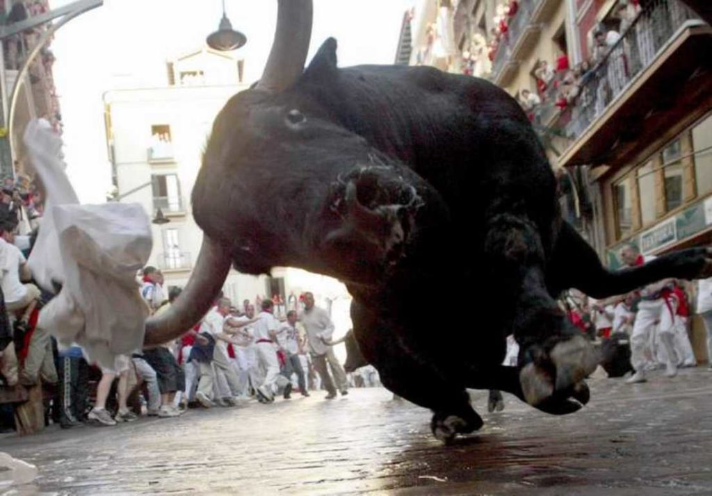 pamplona_65074_705250-min