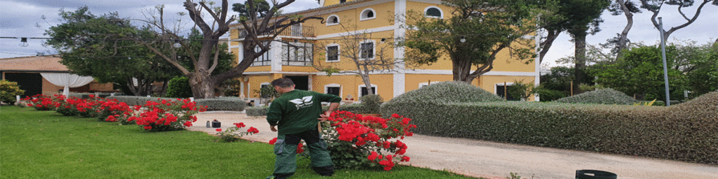 Decovert Jardinería