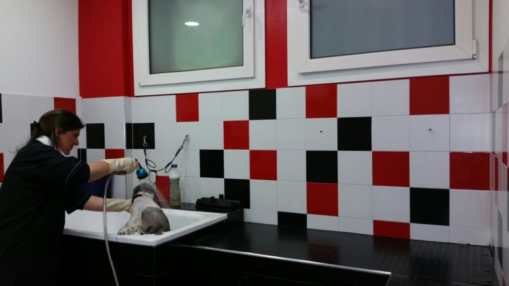 Peluqueria Canina Calbuco