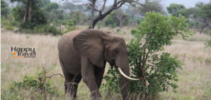 Visitas a Parques Nacionales