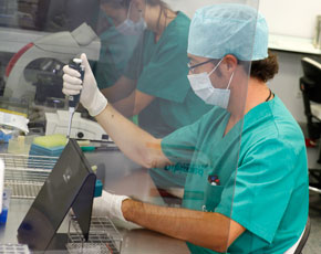 seleccion-capacitacion-espermatozoides