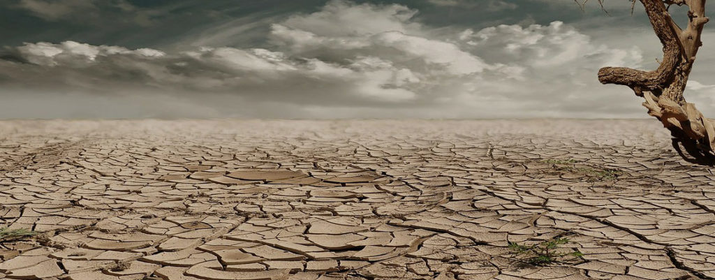 Consulta de Psicoanálisis y Medicina Psicosomática