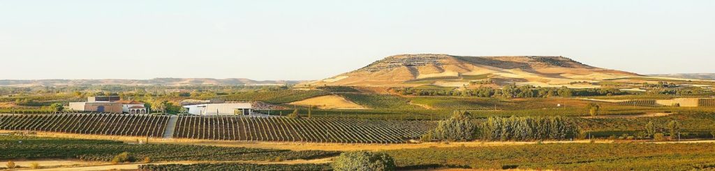 Pago De Los Capellanes