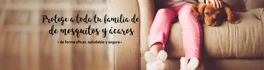 Control De Plagas Fuentes Ddd