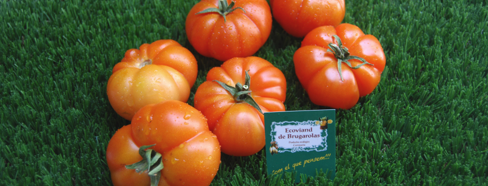 tomate-retocado