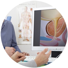 urologia