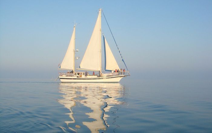 velero01