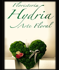 logo-floristeria-hydria