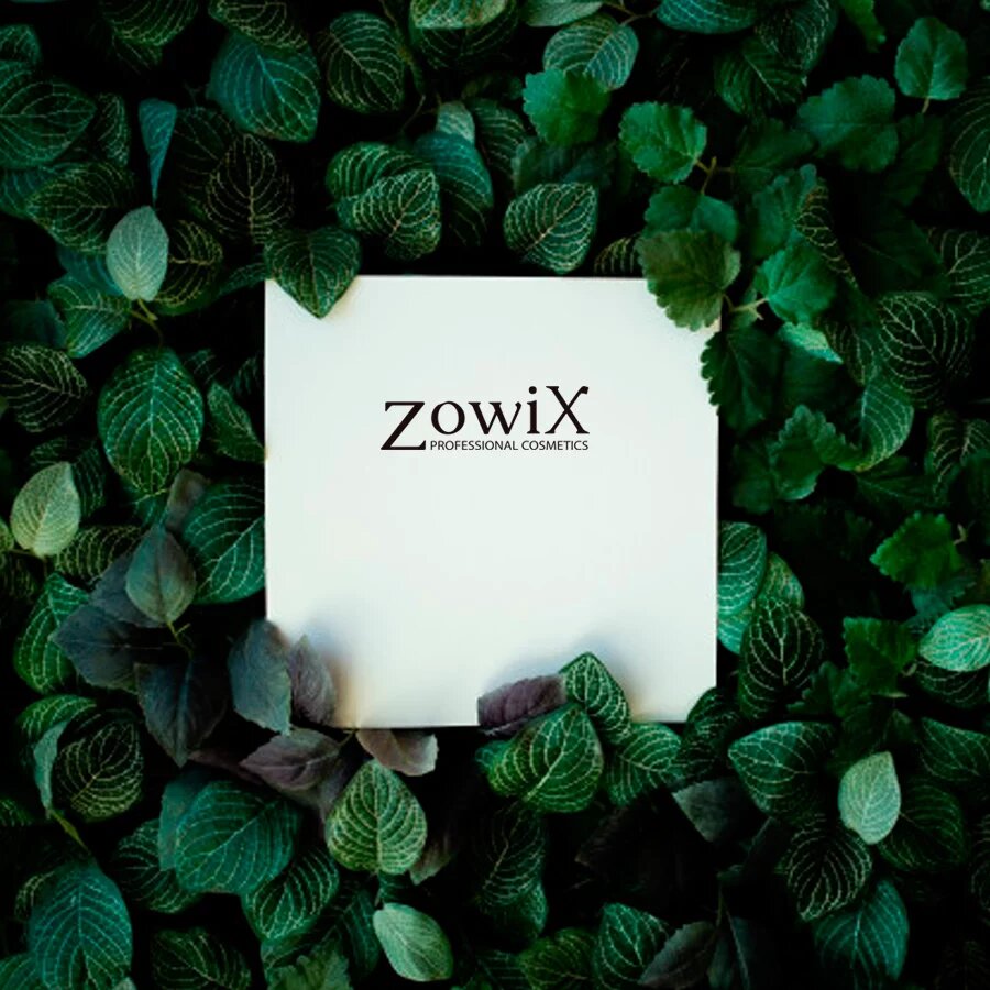 plantilla-zowix