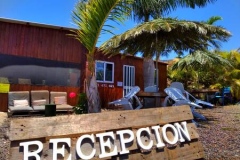 thumbs_recepcion
