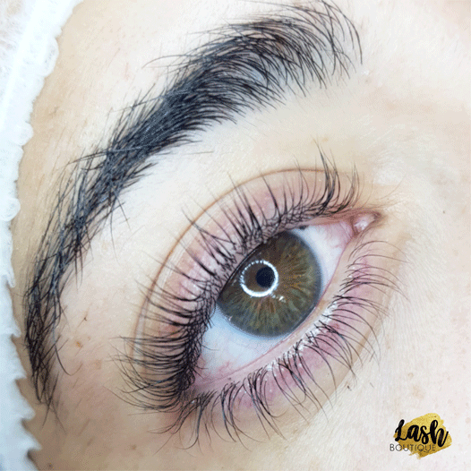 lash-boutique-foto-boletín