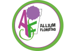 Allium Floristas