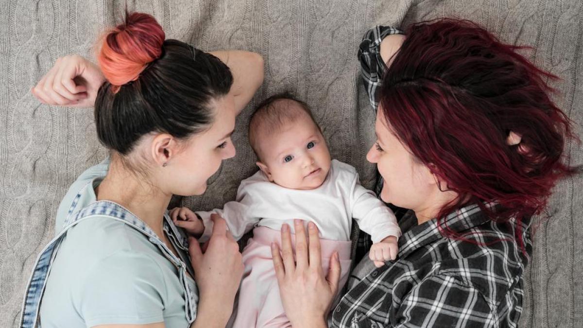 PSOE pide que las parejas lesbianas no necesiten estar casadas para registrar un hijo