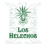 Hotel Los Helechos ***