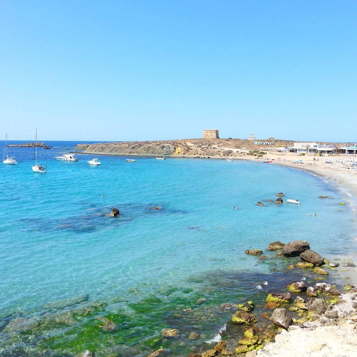 Tabarca-uai-720&#215;720