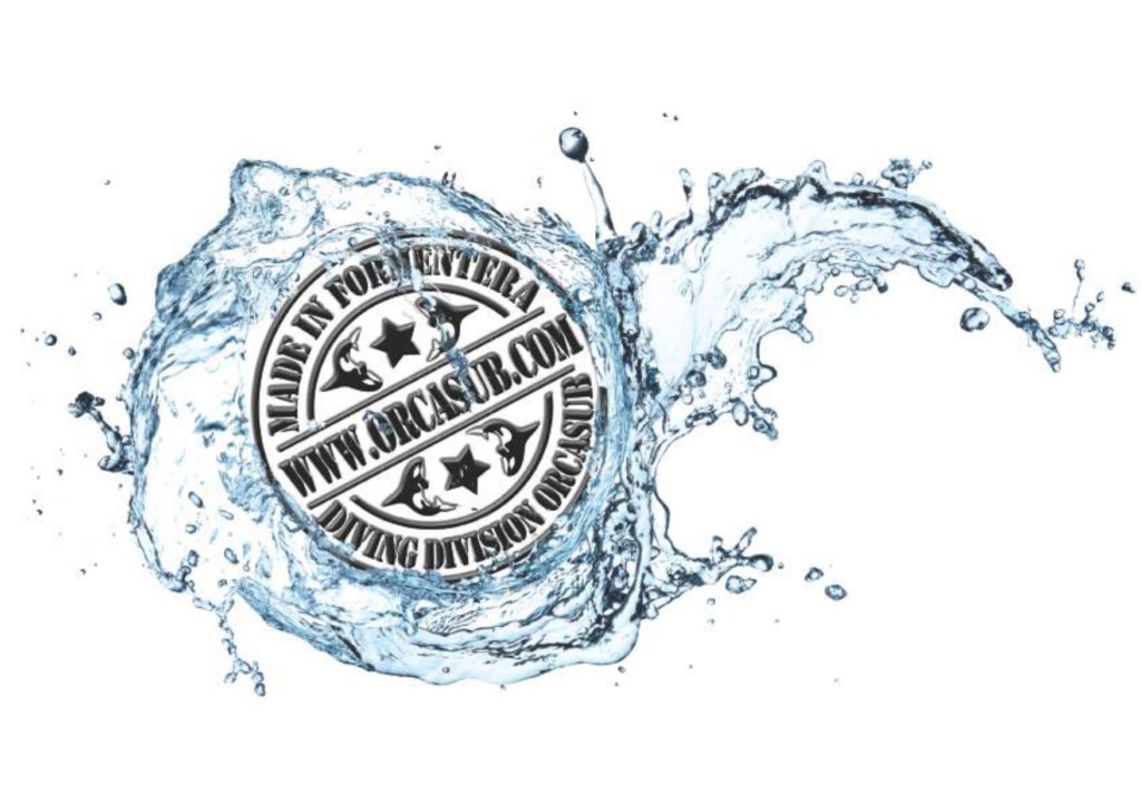 LOGO ORCASUB _page-0001