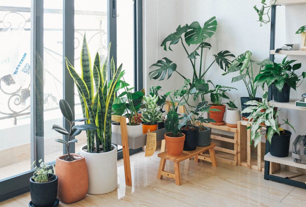 PLANTAS INTERIOR