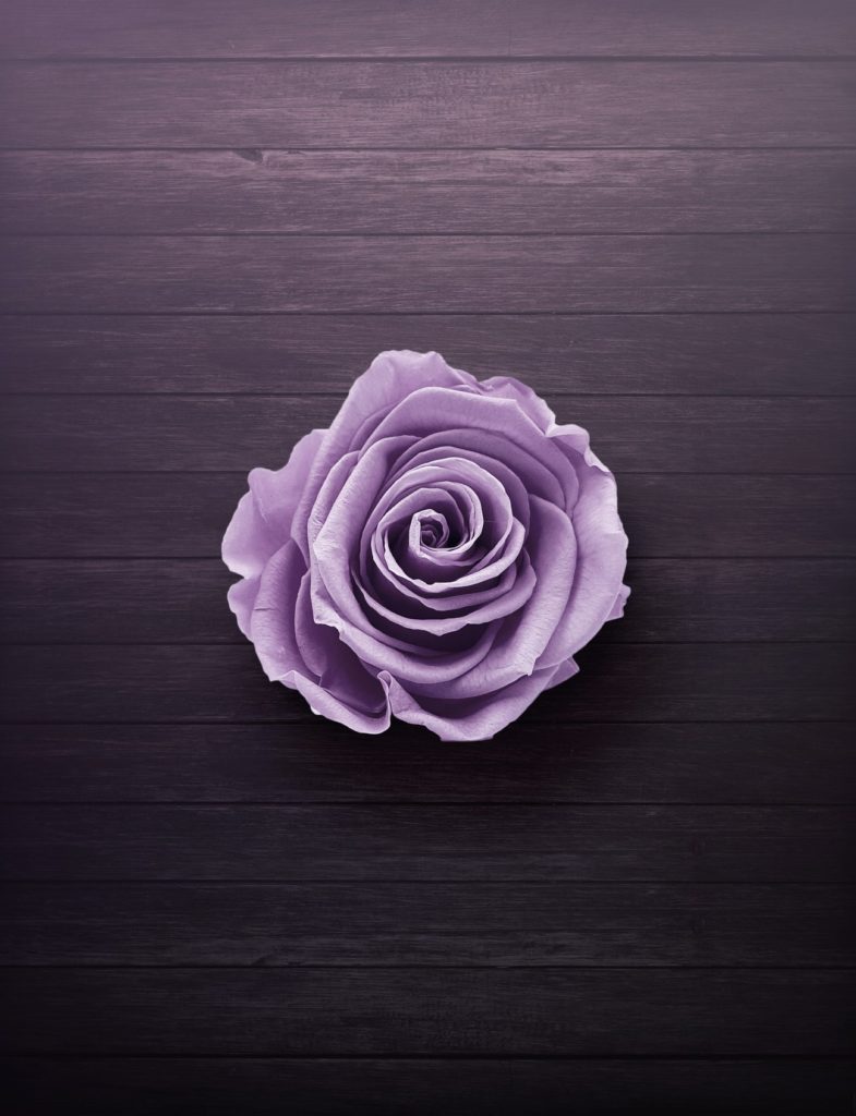 flor preservada