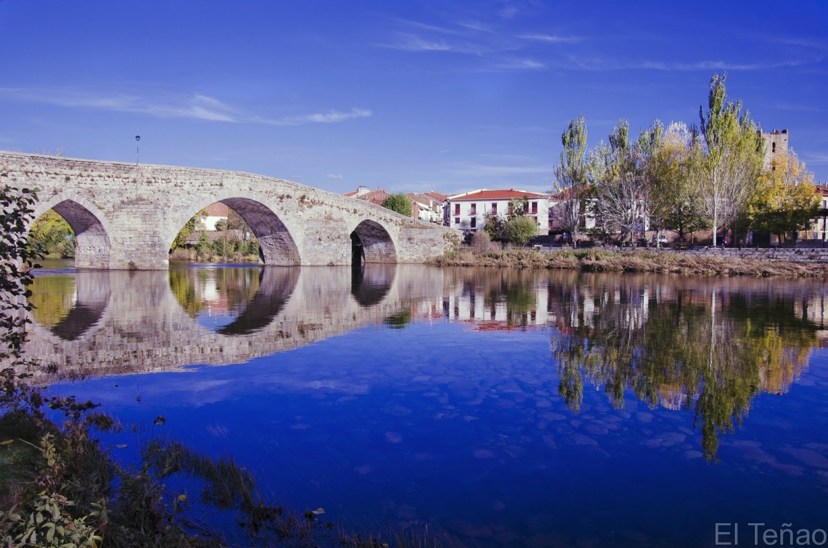 Disfruta Gredos Rural