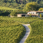 Hiruzta Bodega