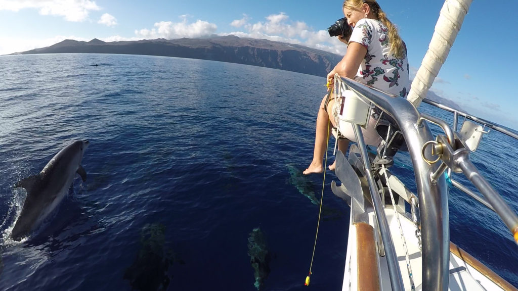 Serea Yachting Excursiones Marítimas El Hierro