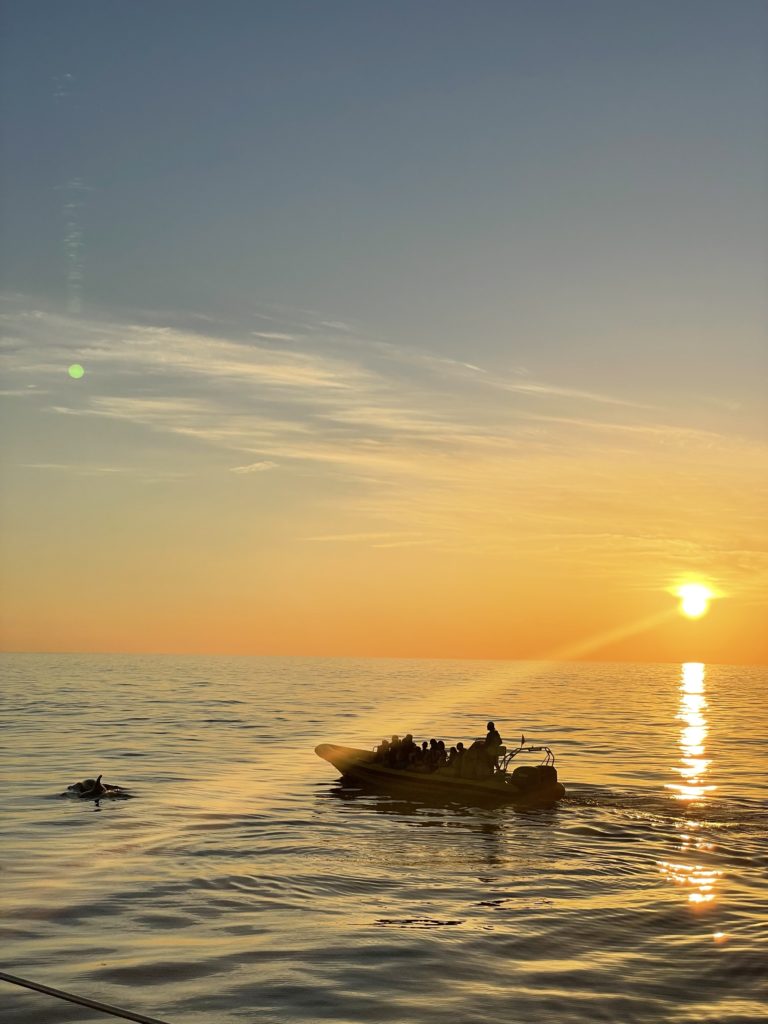 Amanecer My Sea Experinece