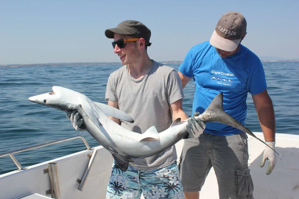 pesca4