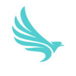 Duque Nest Hostels
