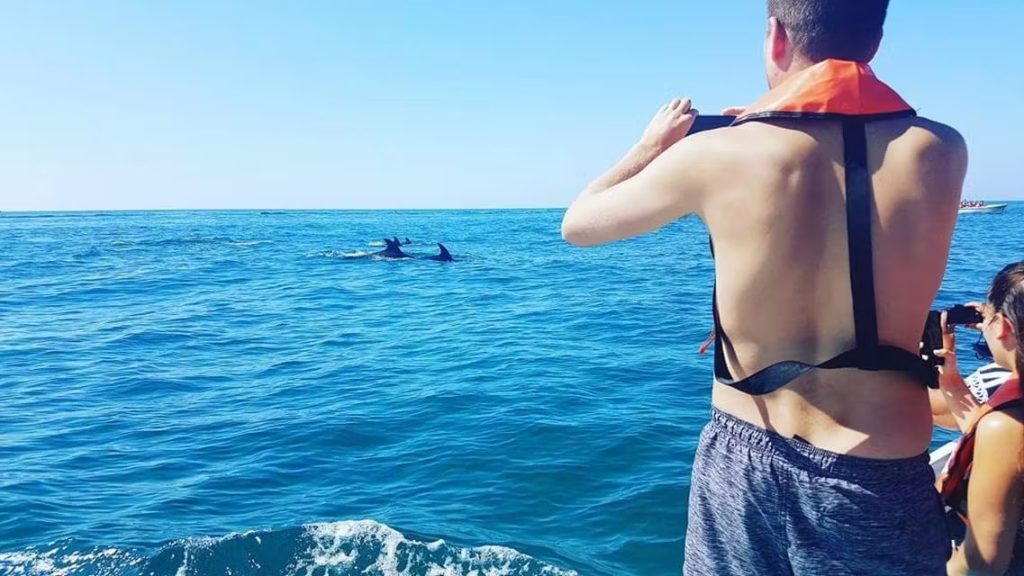 Dolphins-only-on-lucky-days-with-Carvoeiro-Caves