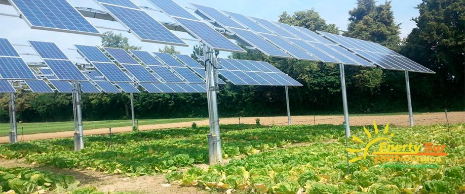 Enerty Sur Fotovoltaica