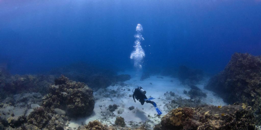 testimonios-dive center club el mar