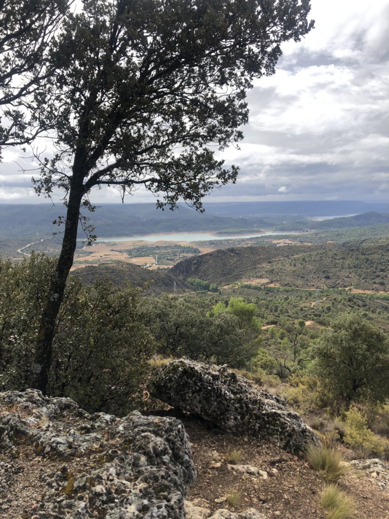 image3