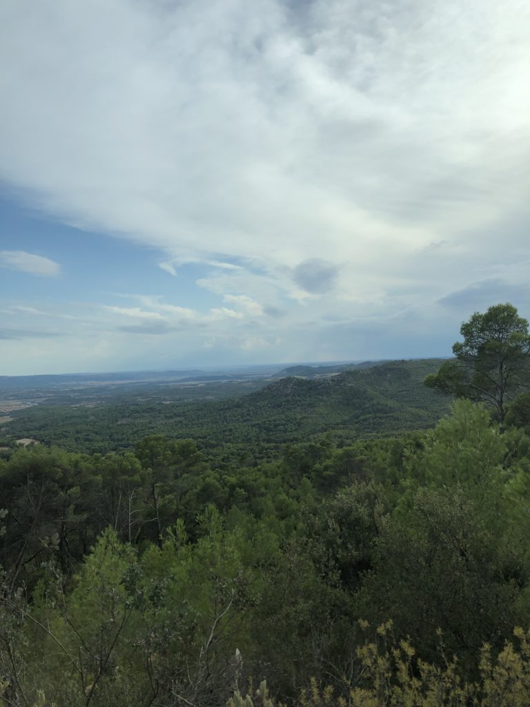 image4