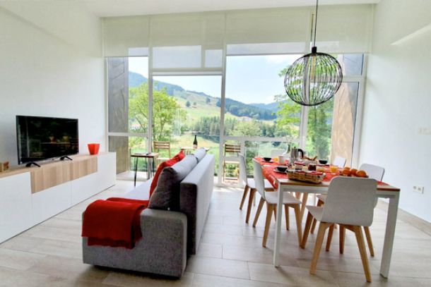 mitxoleta-apartamentos-bergaretxe-2ee27e11