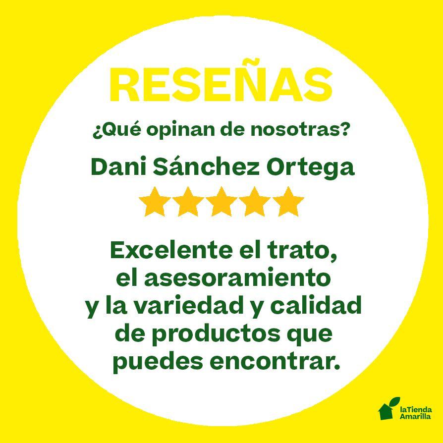 Reseña 10