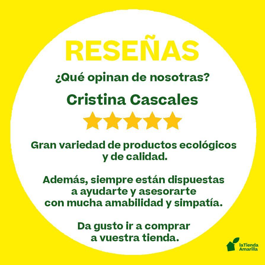 Reseña 11