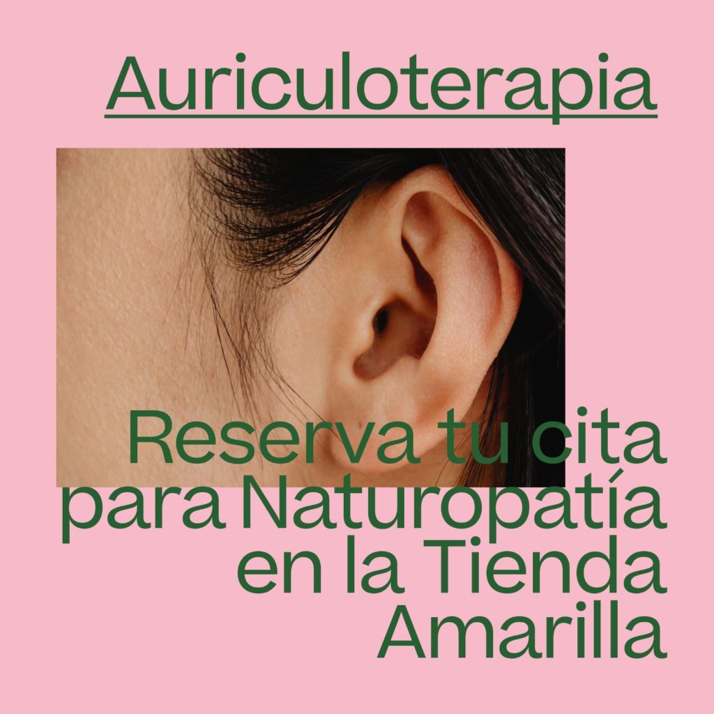 Servicio 5