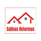 Salinas Reformas