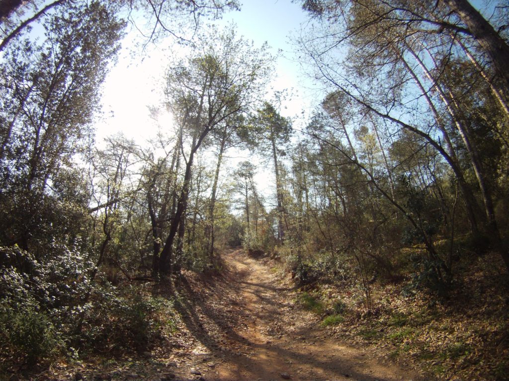DCIM119GOPRO