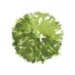 Pedro Pascual Jardinería y Paisajismo