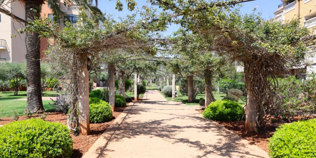 Pedro Pascual Jardinería y Paisajismo